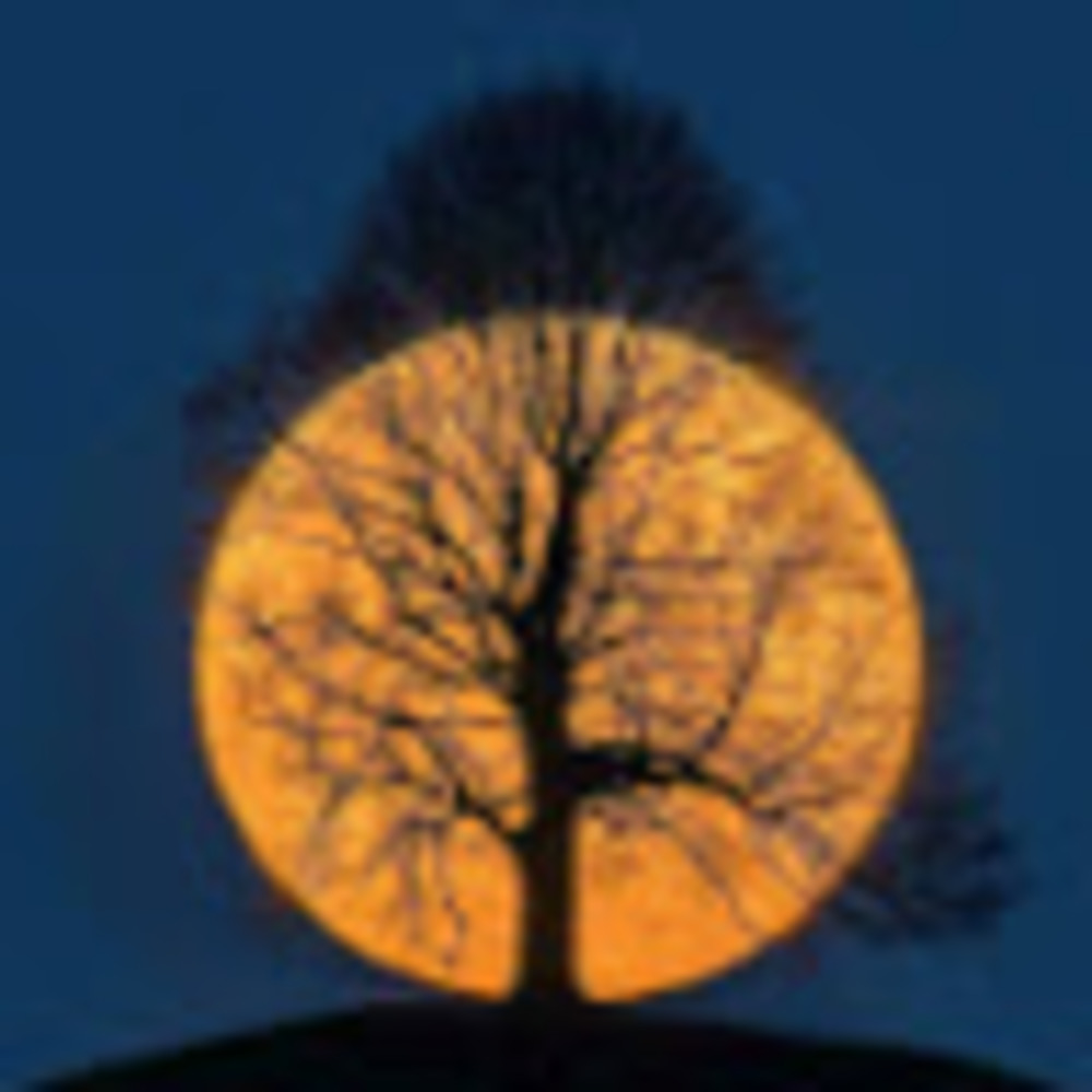 Meet your Posher, Connor